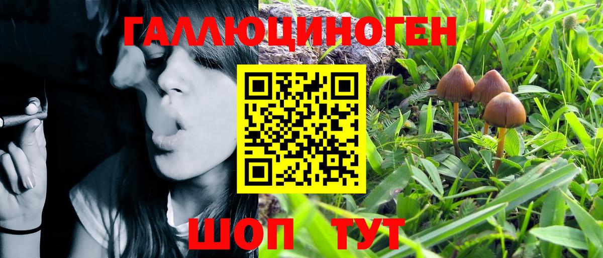 Псилоцибиновые грибы Magic Shrooms Шуя