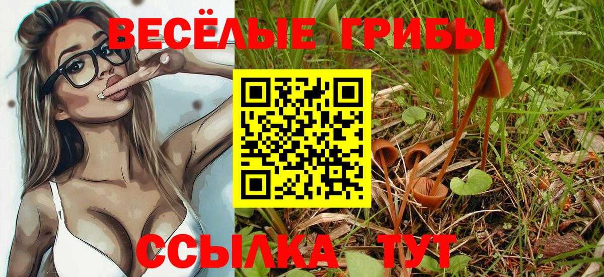 Галлюциногенные грибы MAGIC MUSHROOMS  Вход с VPN  Шуя 